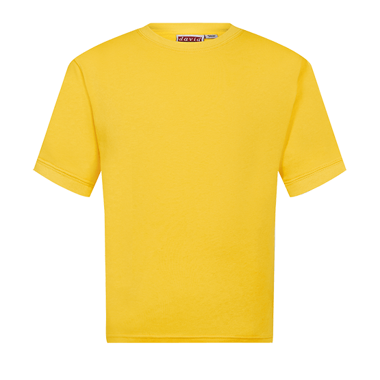Unisex 100% Cotton Sports T-Shirt