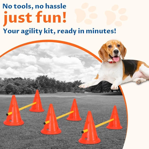 Best Dog Agility Set Jump Training Equipment Pets Jumping Hurdle Cones System !!