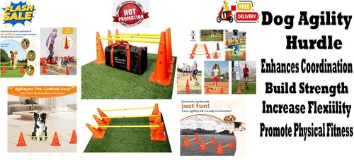 Best Dog Agility Set Jump Training Equipment Pets Jumping Hurdle Cones System !!